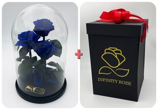Роза в колбе Trinity, Синяя (30 см выс. / 19 см шир.) + Коробка с Вау-эффектом цена и информация | Спящие стабилизированные розы, растения | 220.lv