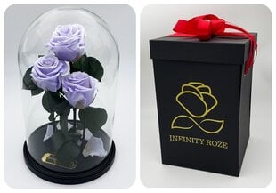 Роза в колбе Trinity, цвета Лаванды (30 cм выс. / 19 cм шир.) + Коробка с Вау-эффектом цена и информация | Спящие стабилизированные розы, растения | 220.lv
