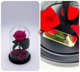 Roze stikla kolbā S, Fuksijas krāsā (20 cm aug. / 12,5 cm plat.) + gravējums cena un informācija | Stabilizētās rozes, augi | 220.lv