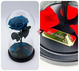 Roze stikla kolbā M, Tiffani krāsā (25 cm aug. / 15 cm plat.) + gravējums cena un informācija | Stabilizētās rozes, augi | 220.lv