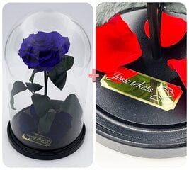 Roze stikla kolbā L, Violeta (30 cm aug. / 19 cm plat.) + gravējums cena un informācija | Stabilizētās rozes, augi | 220.lv