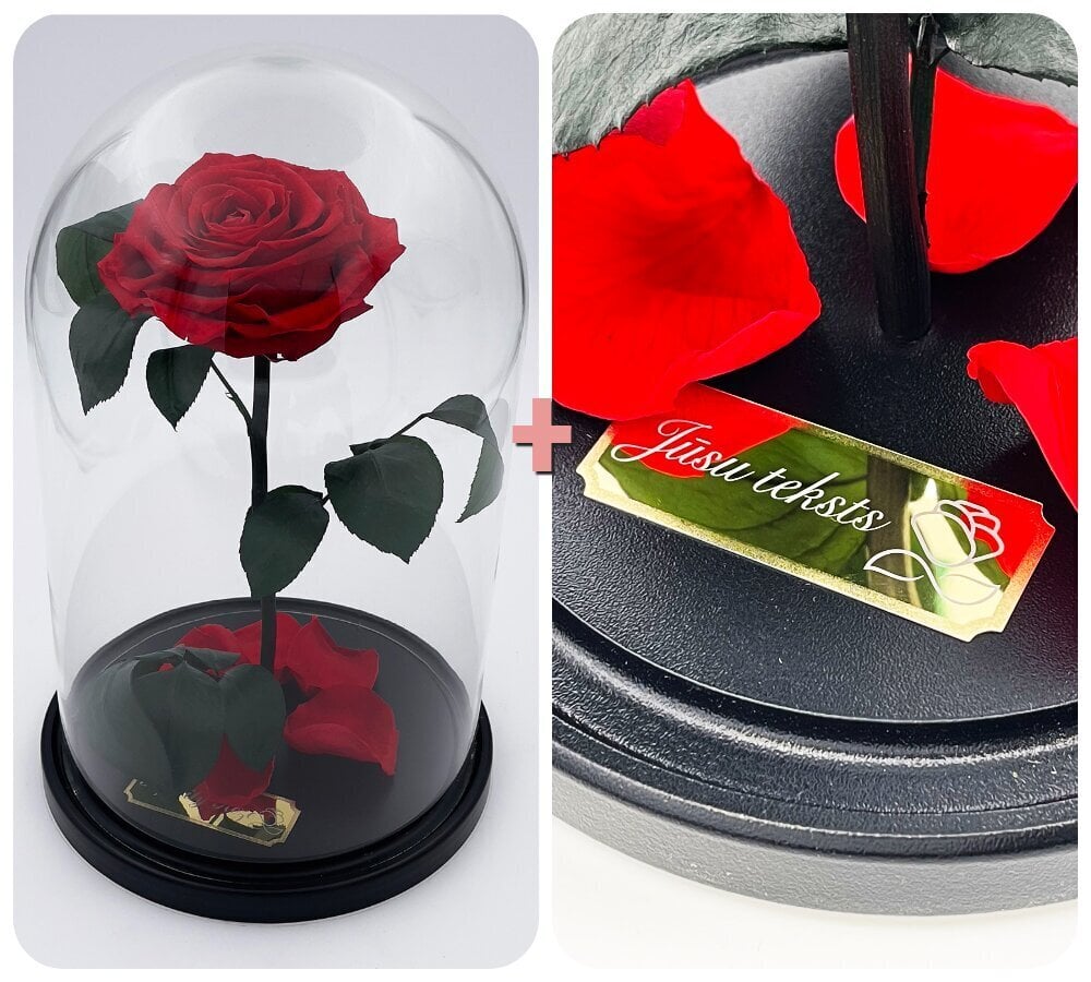 Roze stikla kolbā L, Sarkana (30 cm aug. / 19 cm plat.) + gravējums cena un informācija | Stabilizētās rozes, augi | 220.lv