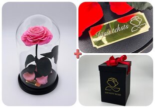 Roze stikla kolbā M, Rozā (25 cm aug. / 15 cm plat.) + gravējums + kaste ar Wow-efektu цена и информация | Спящие стабилизированные розы, растения | 220.lv