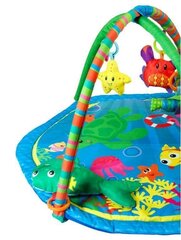 Красочный коврик для ребенка цена и информация | Развивающие коврики | 220.lv