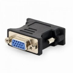 Адаптер AMBERIN DVI - VGA цена и информация | Адаптеры и USB разветвители | 220.lv