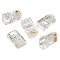 Adapteris AMBERIN RJ45 cena un informācija | Adapteri un USB centrmezgli | 220.lv