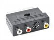 Adapteris AMBERIN SCART - RCA/S-VIDEO цена и информация | Adapteri un USB centrmezgli | 220.lv