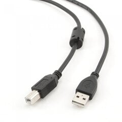 Кабель AMBERIN USB A - USB B, 1.8 м цена и информация | Кабели и провода | 220.lv