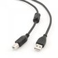Kabelis AMBERIN USB A - USB B, 1.8 m цена и информация | Kabeļi un vadi | 220.lv