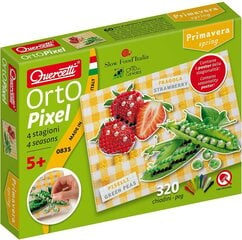 Мозаика Orto Pixel, Quercetti 0835 Li цена и информация | Развивающие игрушки | 220.lv