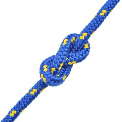 vidaXL pietauvošanās virve, 6 mm, 100 m, polipropilēns, zila cena un informācija | Rokas instrumenti | 220.lv