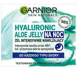 Гель-крем ночной для лица Garnier Skin Naturals Hyaluronic Aloe Jelly, 50 мл цена и информация | Наносите на чистую кожу лица. Подержите около 10-15 минут и смойте водой. | 220.lv