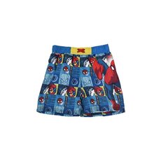 Плавки-шорты для мальчика Spiderman цена и информация | Плавки для мальчиков | 220.lv