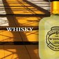 Tualetes ūdens Evaflor Whisky For Men EDT, vīriešiem 100 ml cena un informācija | Vīriešu smaržas | 220.lv
