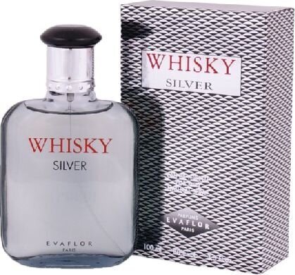 Tualetes ūdens Evaflor Whisky Silver For Men EDT vīriešiem, 100 ml цена и информация | Vīriešu smaržas | 220.lv