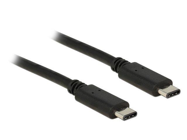 Kabelis Delock Cable USB Type-C 2.0 male > USB Type-C 2.0 male, 2m 83332 цена и информация | Savienotājkabeļi | 220.lv