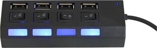 Pagarinātājs ar USB cena un informācija | Adapteri un USB centrmezgli | 220.lv