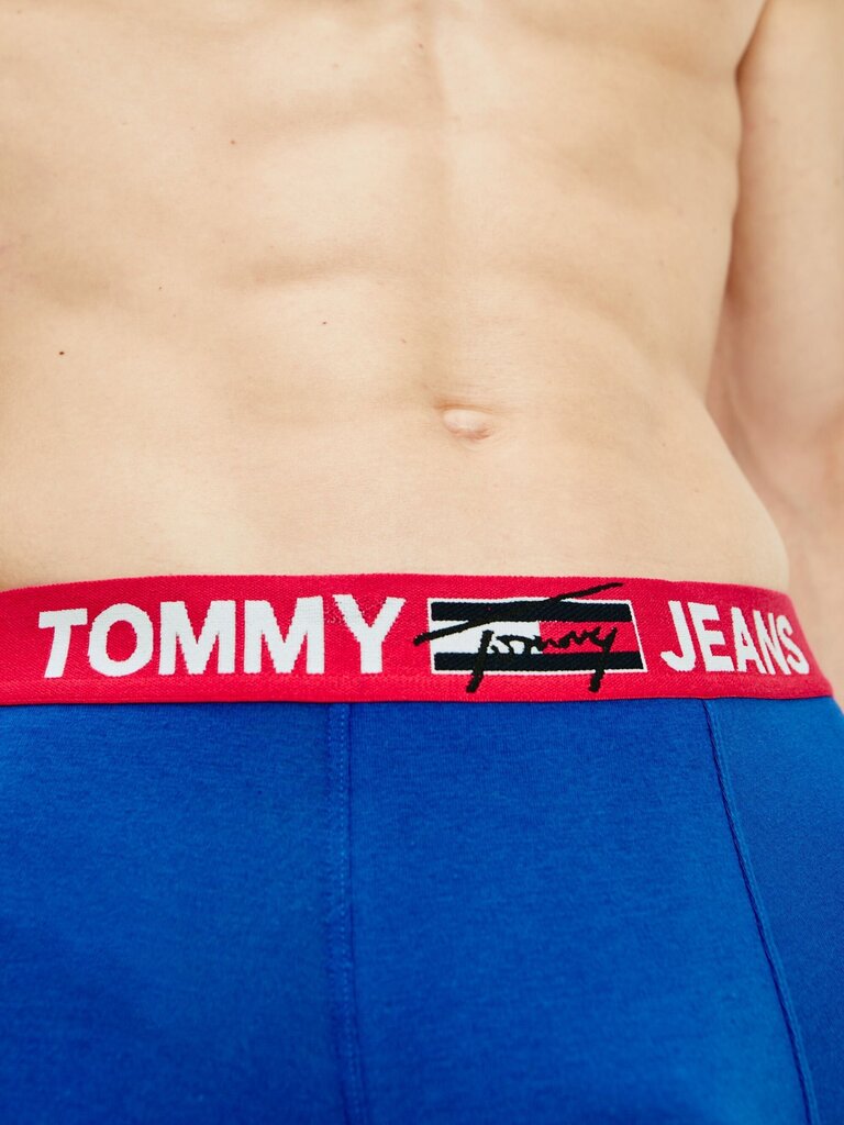 Bokseršorti vīriešiem Tommy Hilfiger 1 pāris, TRUNK BLUE UM0UM02178 C86 43401 cena un informācija | Vīriešu apakšbikses | 220.lv