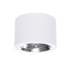 Light Prestige griestu lampa Camino цена и информация | Потолочные светильники | 220.lv