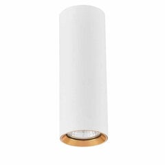 Light Prestige griestu lampa Manacor cena un informācija | Light Prestige Mēbeles un interjers | 220.lv