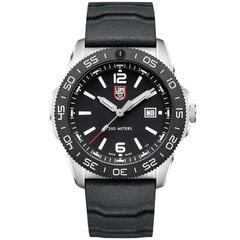 Мужские часы Luminox XS.3121 цена и информация | Мужские часы | 220.lv