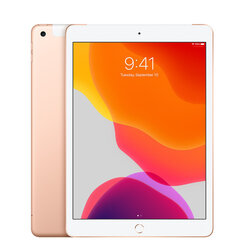 iPad 7 10.2" 32GB WiFi + Cellular, Gold (подержанный, состояние A) цена и информация | Планшеты | 220.lv