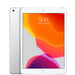 iPad 7 10.2" 32GB WiFi + Cellular, Silver (lietots, stāvoklis A) цена и информация | Планшеты | 220.lv