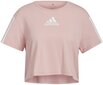 Adidas Blūze W Tc Crop Tee Pink HD9353 HD9353/S цена и информация | Sporta apģērbs sievietēm | 220.lv