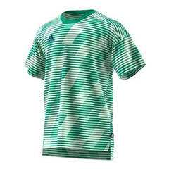 Vīriešu t-krekls Adidas TAN ENG JSY CD8300 zaļš cena un informācija | Vīriešu T-krekli | 220.lv