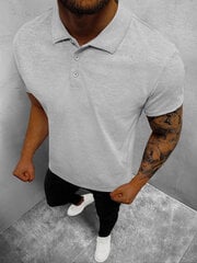 Vīriešu gaiši pelēks polo krekls "Casual" JS/8T80/2-47003-XXL цена и информация | Мужские футболки | 220.lv