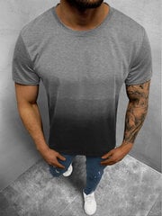 Vīriešu pelēks T-krekls "Boket" JS/8T81/2-47101-XXL cena un informācija | Vīriešu T-krekli | 220.lv