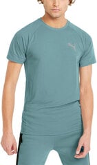 Puma T-Krekli Evostripe Tee Mint 847394 50 847394 50/4XL cena un informācija | Vīriešu T-krekli | 220.lv