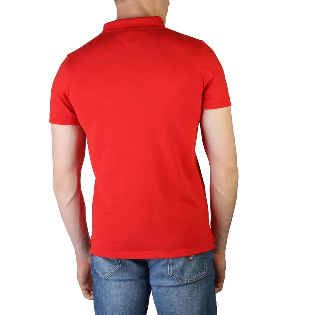 Polo krekls vīriešiem Tommy Hilfiger - DM0DM12219 72124 DM0DM12219_XNL-XL cena un informācija | Vīriešu T-krekli | 220.lv