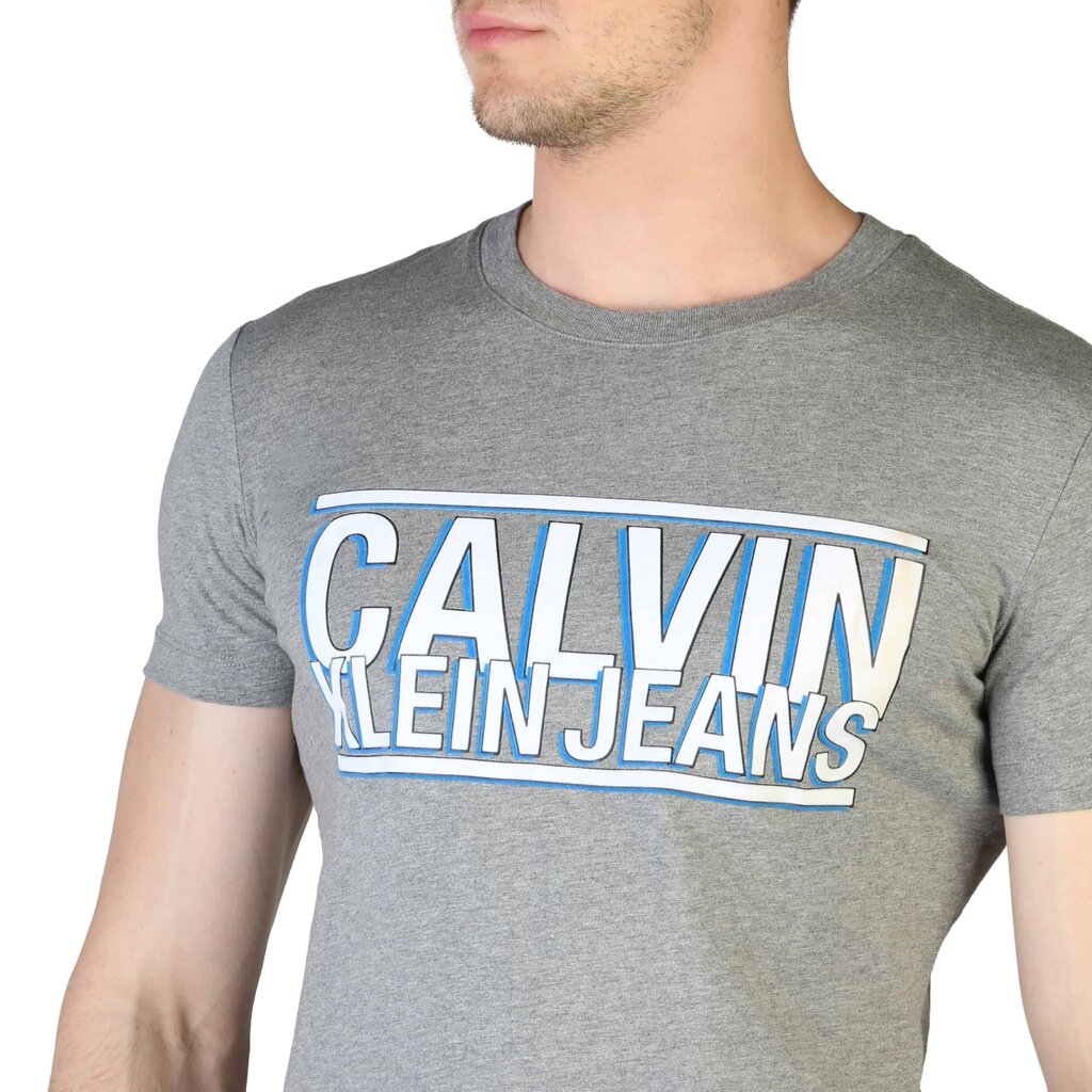 T-krekls vīriešiem Calvin Klein - ZM0ZM01574 72362 ZM0ZM01574_P2F-L цена и информация | Vīriešu T-krekli | 220.lv