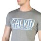 T-krekls vīriešiem Calvin Klein - ZM0ZM01574 72362 ZM0ZM01574_P2F-L cena un informācija | Vīriešu T-krekli | 220.lv