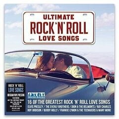 Виниловая пластинка Rock N Roll, Love Song цена и информация | Виниловые пластинки, CD, DVD | 220.lv