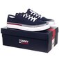 Sporta apavi vīriešiem Tommy Hilfiger JEANS ESSENTIAL LOW CUT NAVY EM0EM00962 C87 44105 цена и информация | Sporta apavi vīriešiem | 220.lv