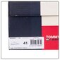 Sporta apavi vīriešiem Tommy Hilfiger JEANS ESSENTIAL LOW CUT NAVY EM0EM00962 C87 44105 цена и информация | Sporta apavi vīriešiem | 220.lv