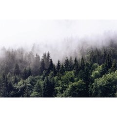 Fototapetes - Migla mežā cena un informācija | Fototapetes | 220.lv