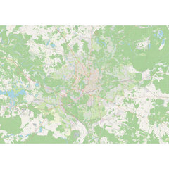Фотообои подробная карта Вильнюса цена и информация | Фотообои | 220.lv