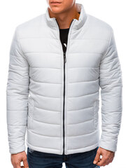 Мужская демисезонная куртка Эдоти C526 светло-серый цена и информация | Мужские куртки | 220.lv