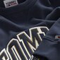 Džemperis vīriešiem Tommy Hilfiger, zils cena un informācija | Vīriešu jakas | 220.lv