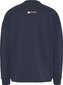 Džemperis vīriešiem Tommy Hilfiger, zils cena un informācija | Vīriešu jakas | 220.lv