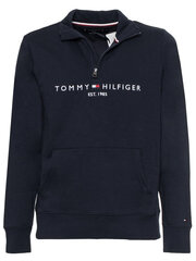 Джемпер мужской Tommy Hilfiger 8720115237703 цена и информация | Мужские толстовки | 220.lv