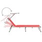 312459 vidaXL Folding Sun Loungers with Roof 2 pcs Aluminium&Textilene Red цена и информация | Sauļošanās krēsli | 220.lv