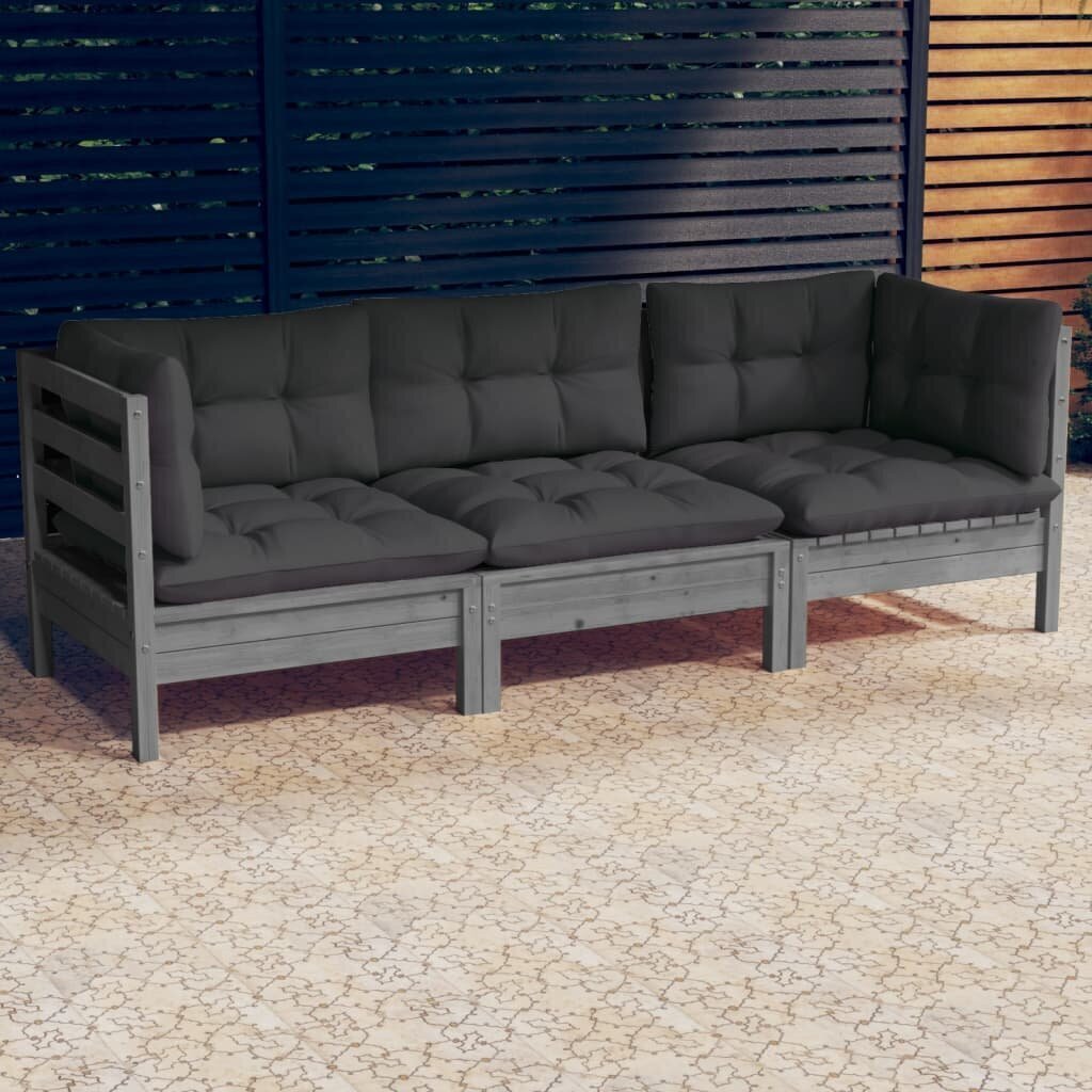 vidaXL 3-vietīgs dārza dīvāns ar antracītpelēkiem spilveniem, priede цена и информация | Dārza krēsli | 220.lv