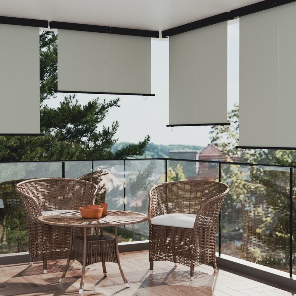 vidaXL balkona sānu markīze, 160x250 cm, pelēka cena un informācija | Saulessargi, markīzes un statīvi | 220.lv