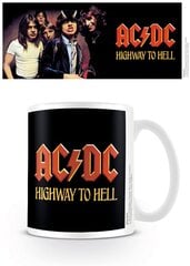 Кружка ACDC Highway To Hell цена и информация | Атрибутика для игроков | 220.lv