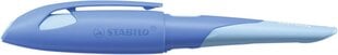 Перьевая ручка Easybirdy R nib A blue-light blue цена и информация | Письменные принадлежности | 220.lv