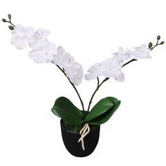 vidaXL mākslīgā orhideja ar podiņu, 30 cm, balta cena un informācija | Mākslīgie ziedi | 220.lv